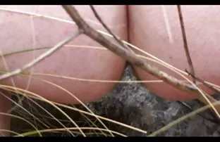 XXX خوردن او در چند ضلعی است که داستان سکسی مصور تلگرام خالکوبی دختر
