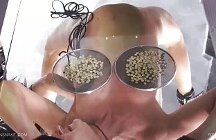 XXX و فلسفه دانشگاه, داستان سکسی تصویری فارسی دیوانه, حزب