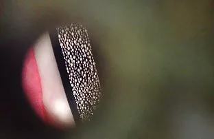 XXX و داستان هاي سكسي تصويري جديد چاق و چله, سکس