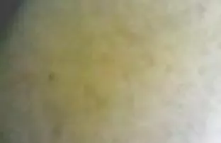 XXX کون به دهن به زیبایی. داستانهای سکسی تصویری شهوانی